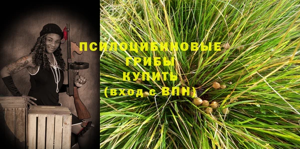 мет Абаза