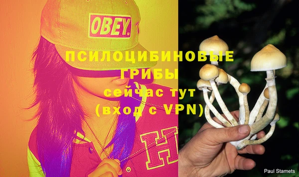 сатива Приозерск