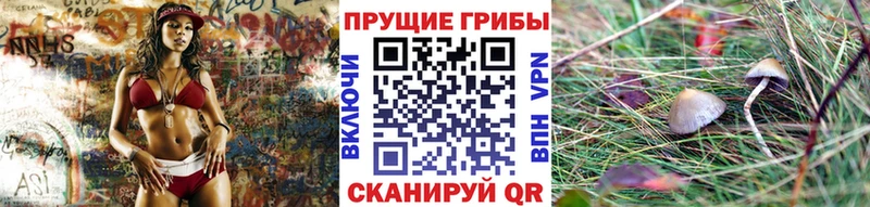 Псилоцибиновые грибы ЛСД  Ивантеевка 